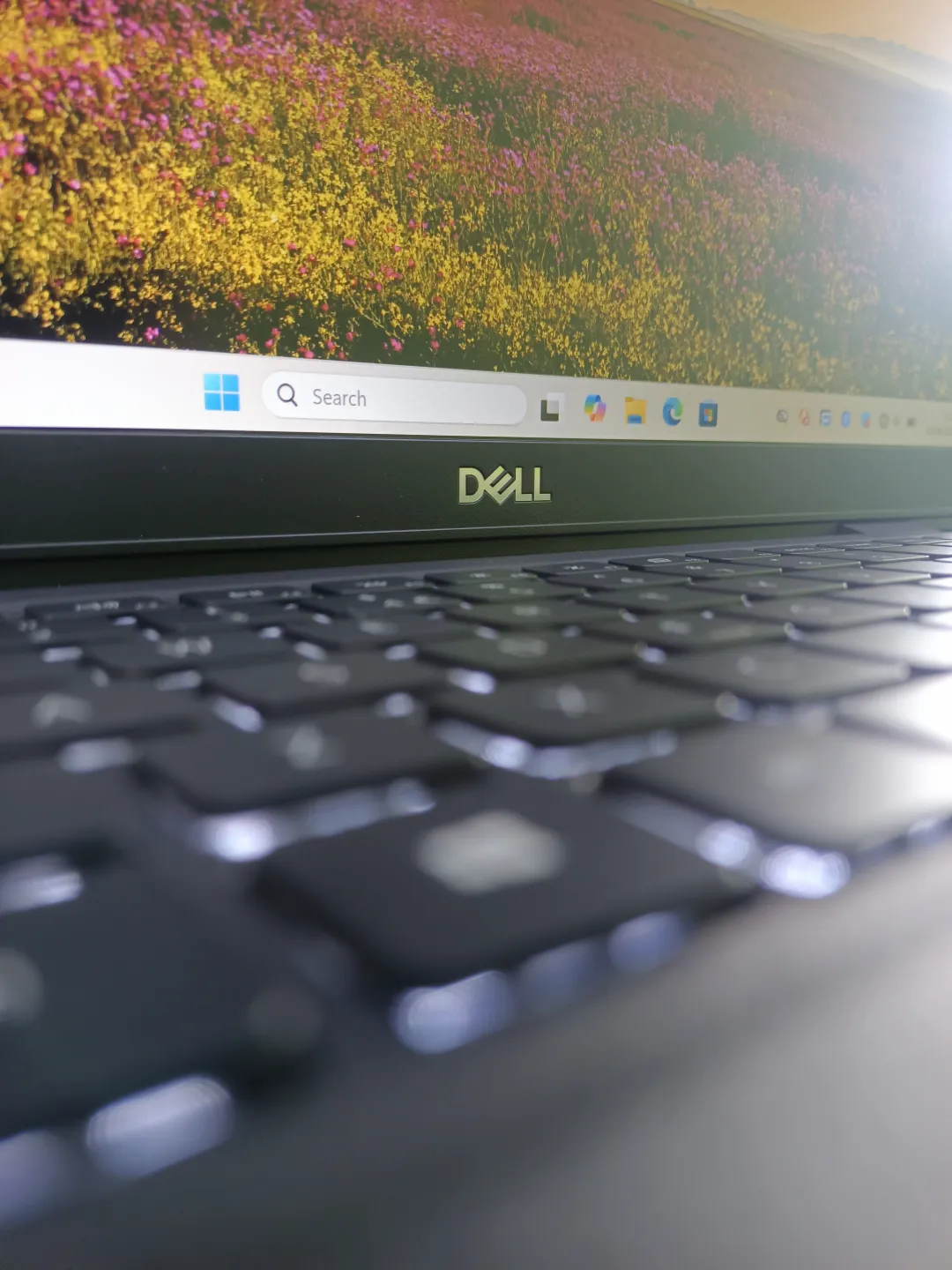 Dell 3420 foto 3